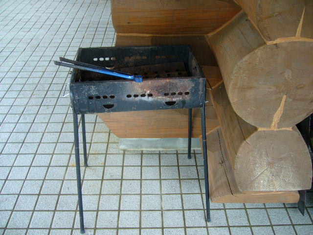 BBQ gas stove