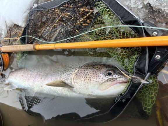 キャンプ場を探る | 北海道 朱鞠内湖 公式ウェブサイト｜Lake Shumarinai